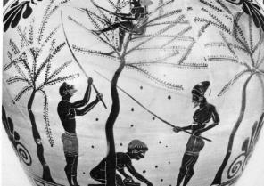 Amphore attique à figures noires